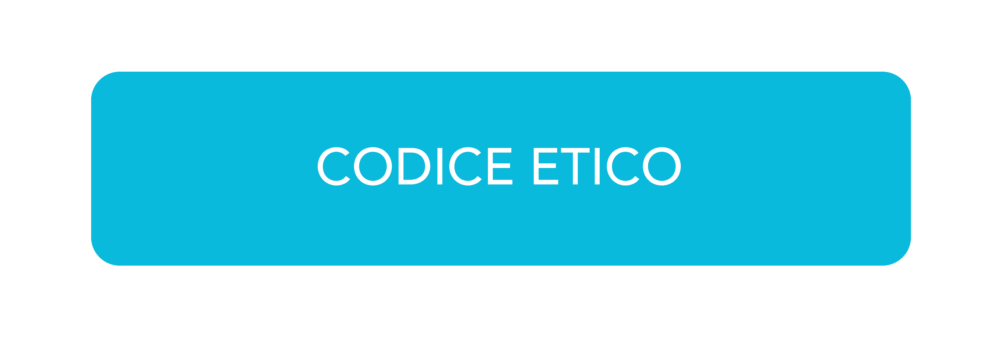 CODICE ETICO.png